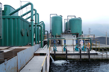 Sewage treatment